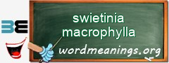 WordMeaning blackboard for swietinia macrophylla